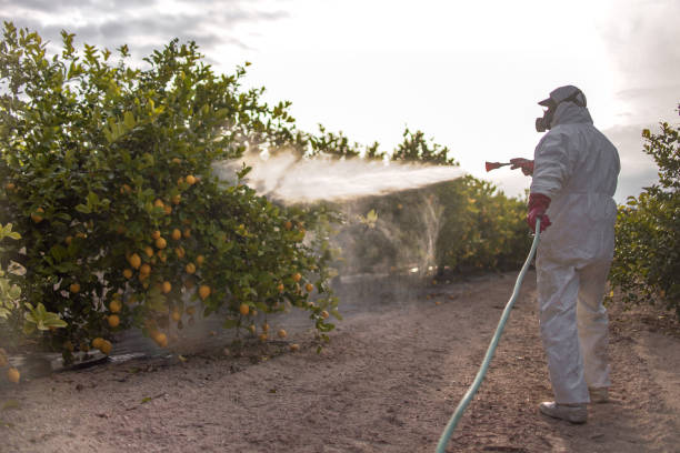 Trusted Cade, LA Pest Control Experts