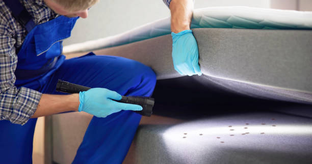 Best Termite Control Services  in Cade, LA