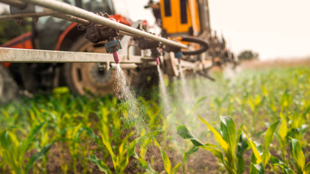 Best Mosquito Control Services  in Cade, LA